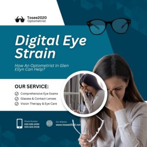 How An Optometrist In Glen Ellyn Can Help
